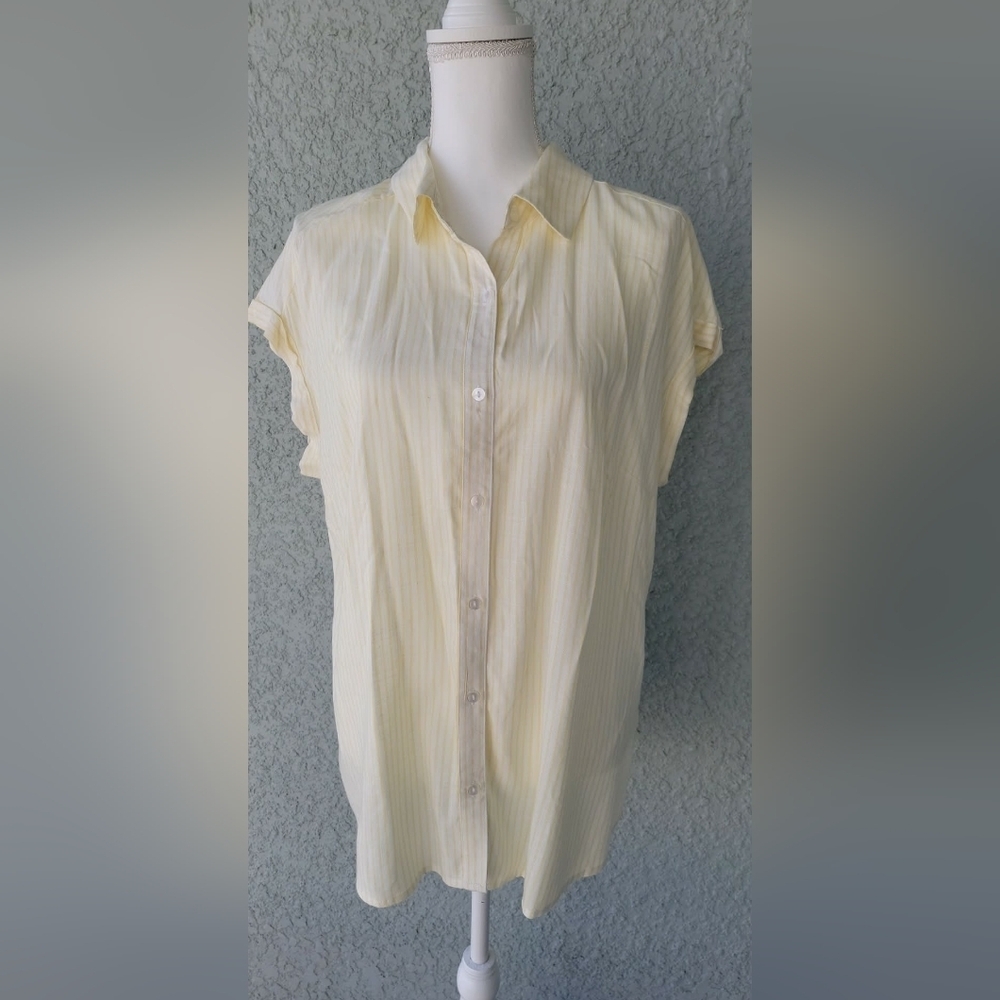 NWT Fortune + Ivy Women's Light Yellow Button-Down Shirt